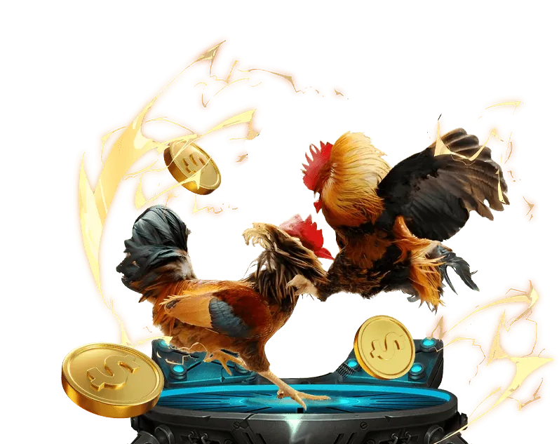 Hướng dẫn cá cược thể thao j888